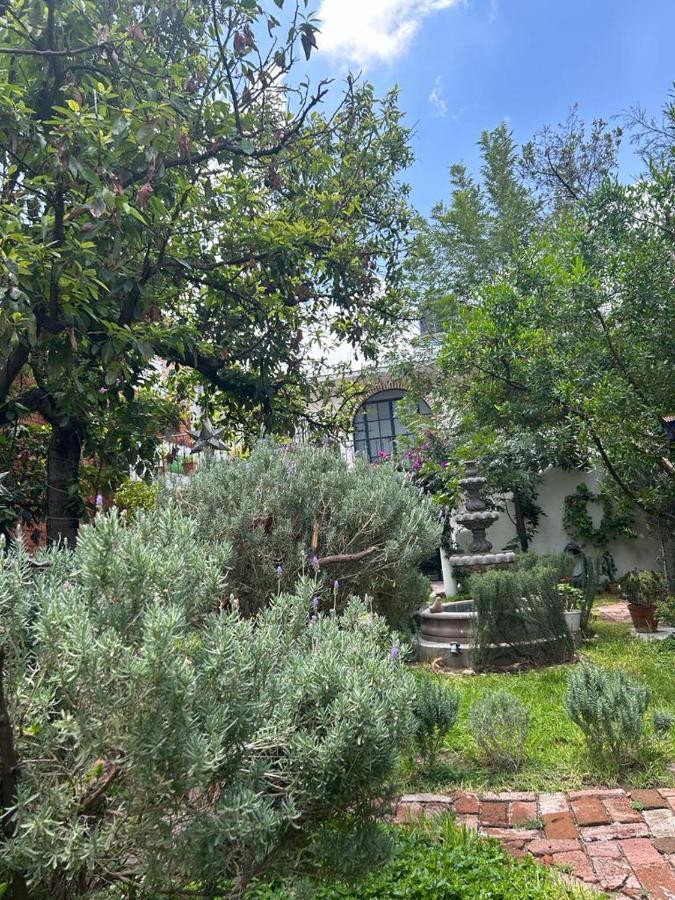 Casa Matia Bed And Breakfast San Miguel de Allende Buitenkant foto